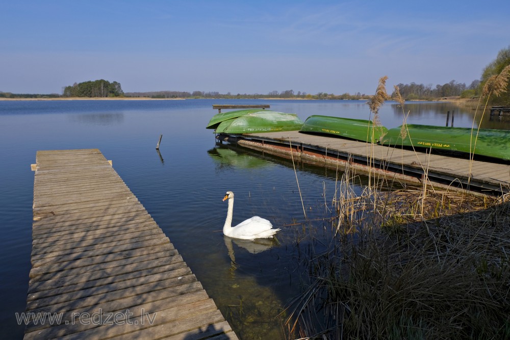 Tērvetes ūdenskrātuves kārumnieks