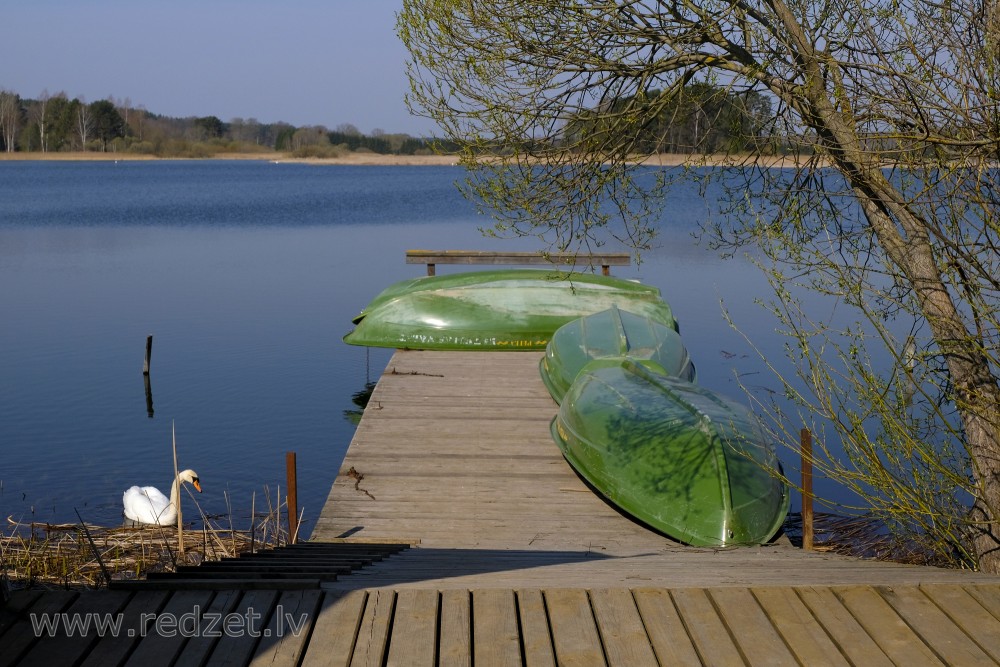 Tērvetes ūdenskrātuves kārumnieks