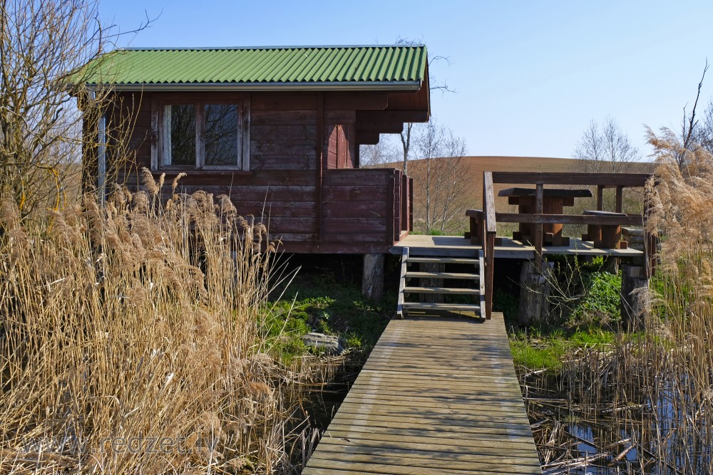 Camping cottage of Tērvete Reservoir (Swans Pond)