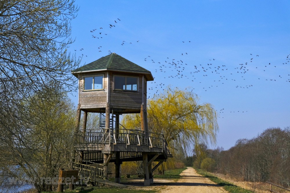 Tērvete Reservoir Bird Watching Tower and Tundra Begn Geese