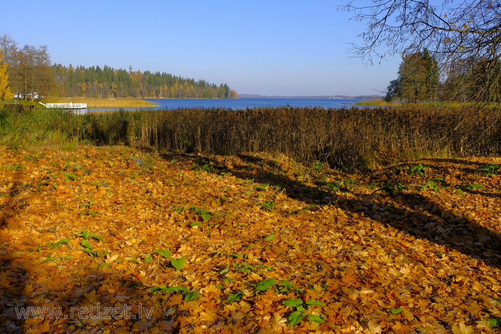 Alūksnes ezera rudens ainava