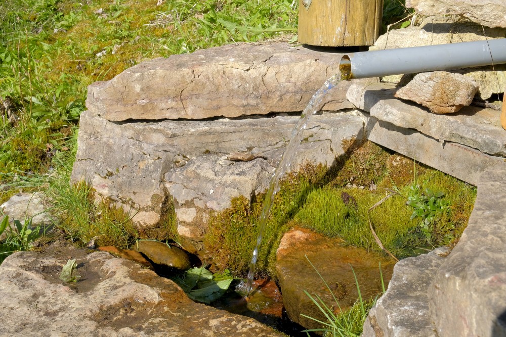 Avots Embūtes dabas parkā, Embūtes dabas parks, Embūte, Avots