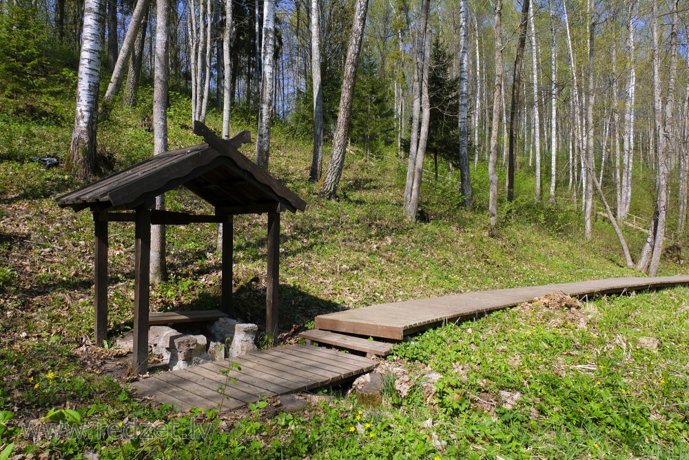 Lielmāte Spring in Vilce Ravine