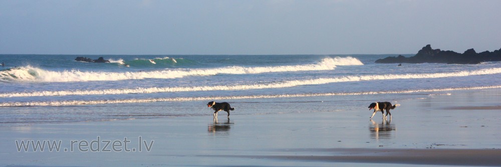 Porthmeor Beach (St Ives)