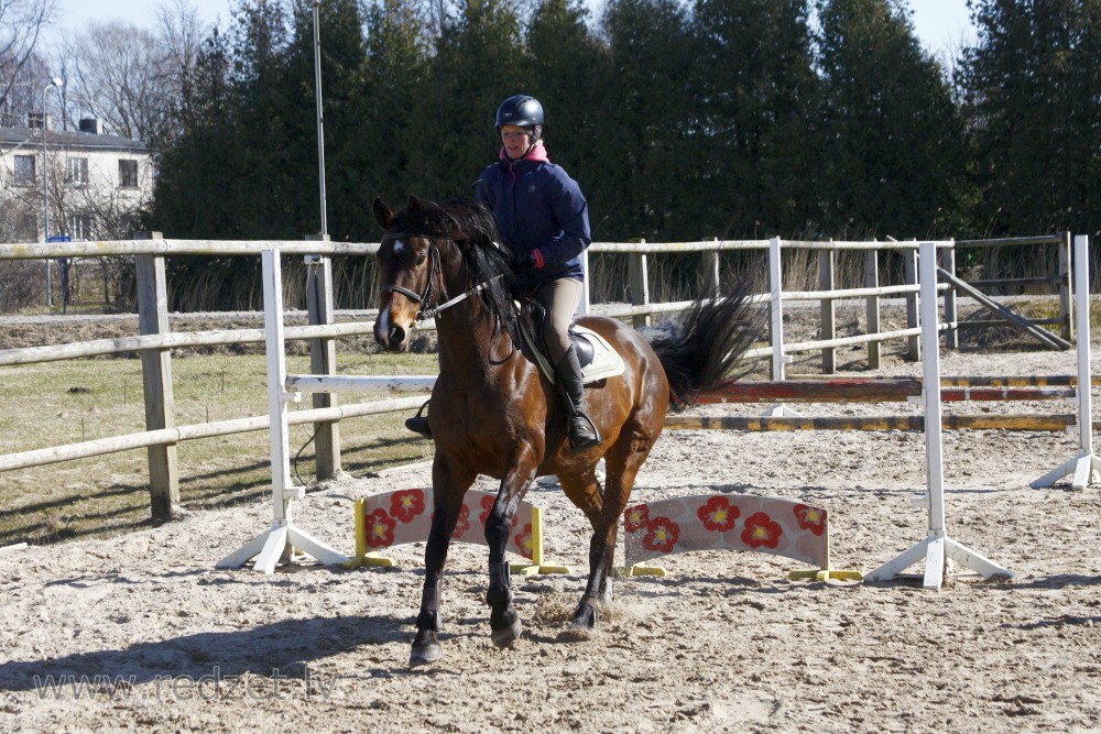 Horseback riding training