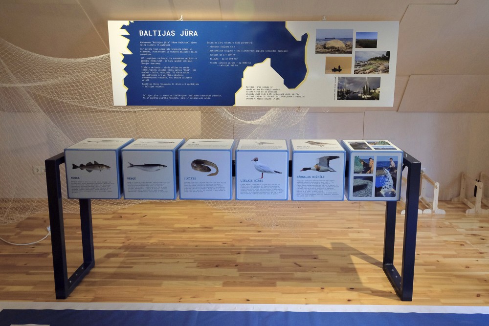 Branch of the Roja Marine Fisheries Museum 8211 Kaltene Club