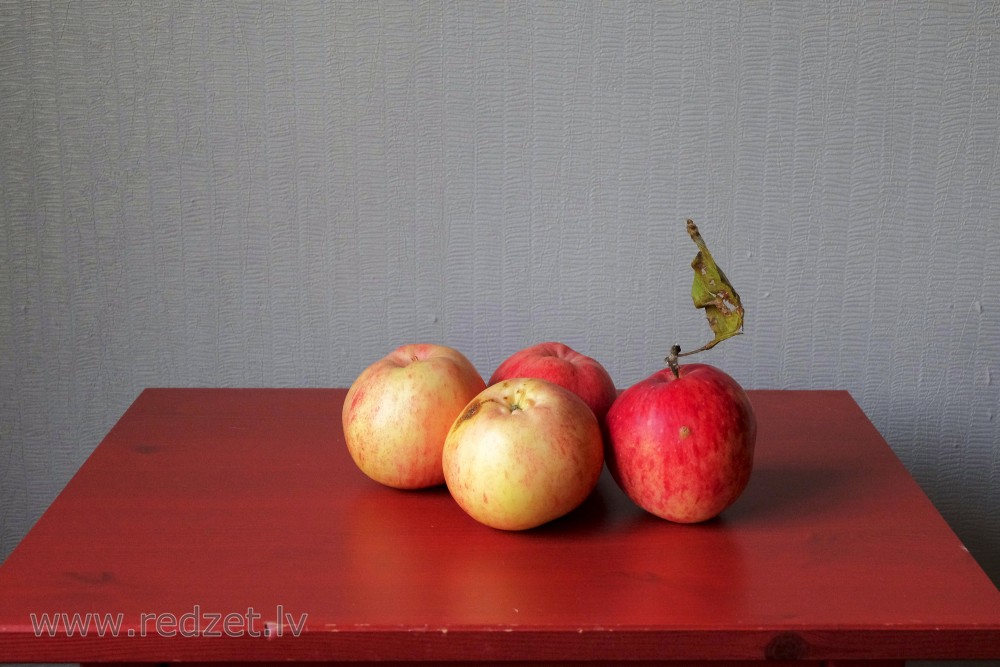 Āboli uz galda