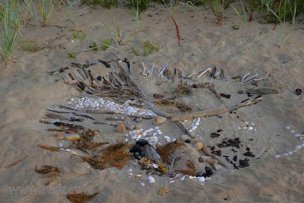 Composition Created on the Sea Sand