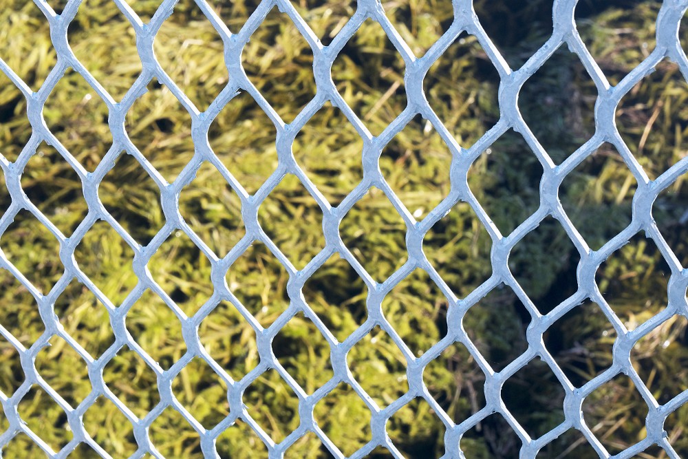Railing Mesh of Svēte Floodplain Meadow Wooden Boardwalk