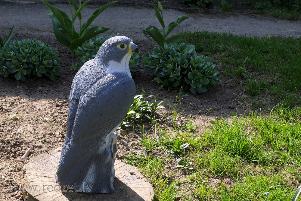 Garden Guard with Alert Eye