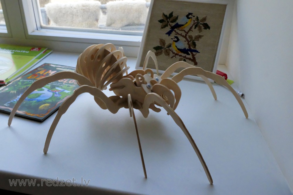 Zirnekļa makets Bārbeles Zēnu pamatskolā