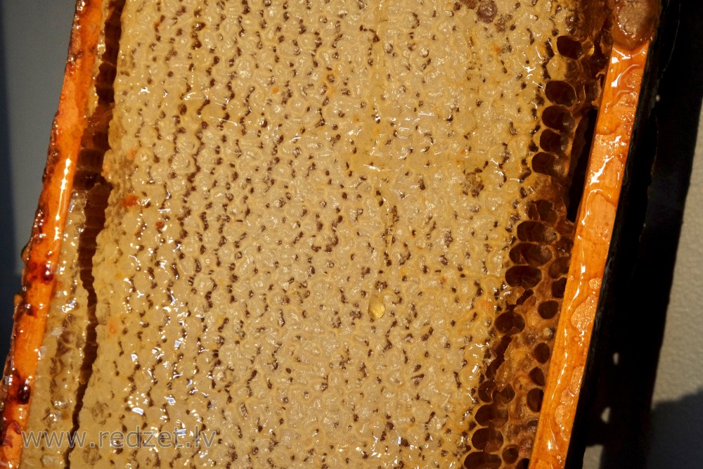 Medus kāre