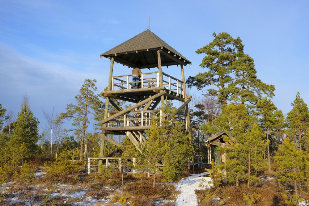 Viewing Tower at the Cena Bog
