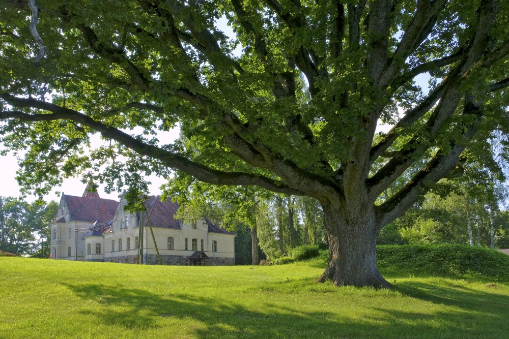 Mēri Oak And Mēru Manor House