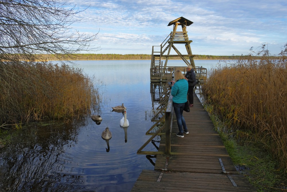 Sloka Lake Birdwatching Tower 