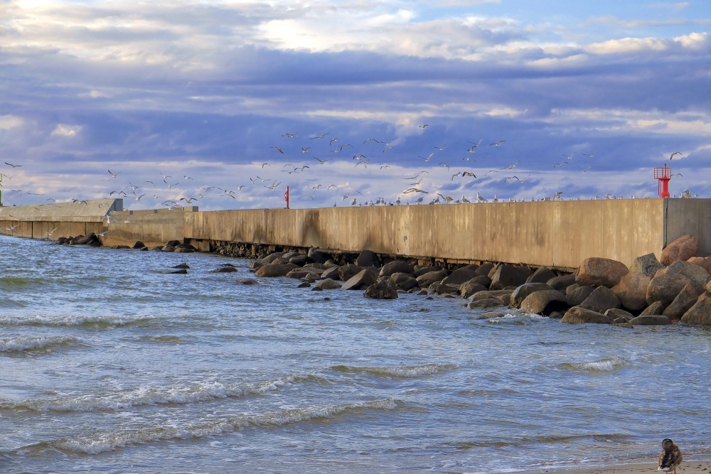 Pavilosta south pier with a flock of seagulls in the sky Pavilosta south pier with a flock of seagulls in the sky