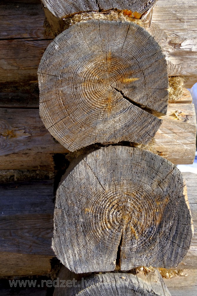Fragment of a Log House