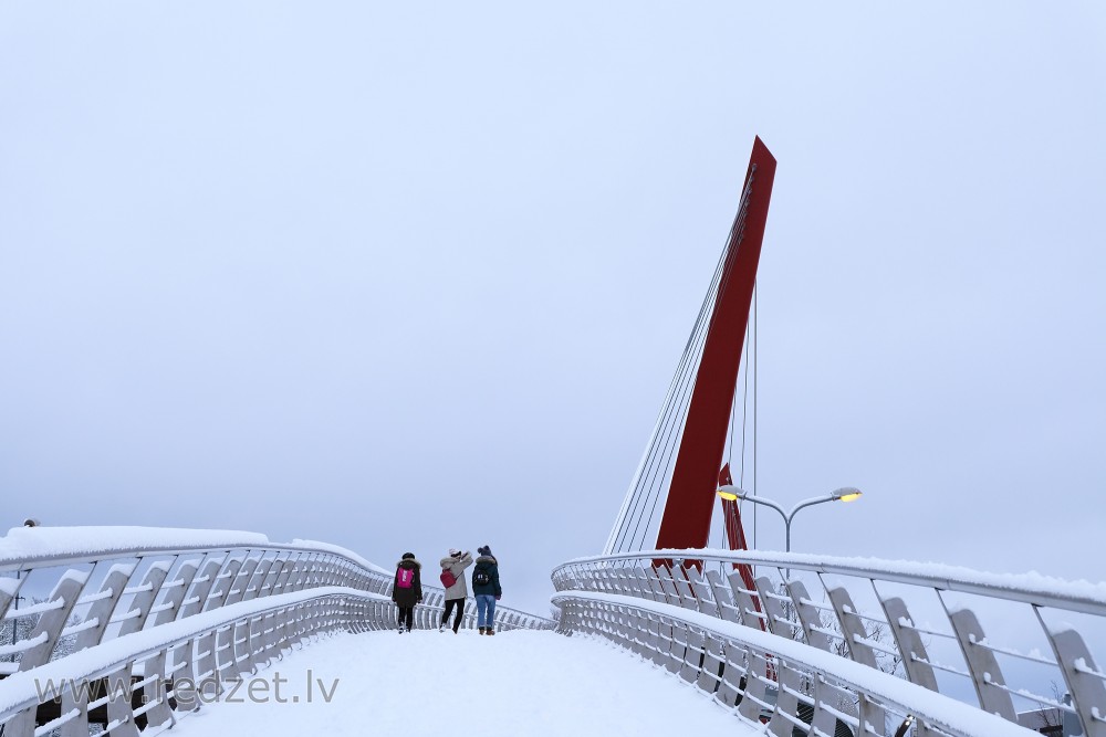 Pedestrian Bridge Mitava (Jelgava)