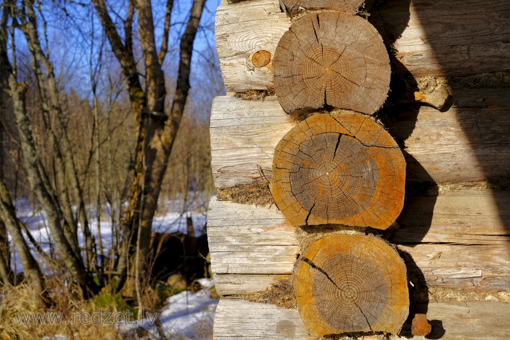 Fragment of a Log House