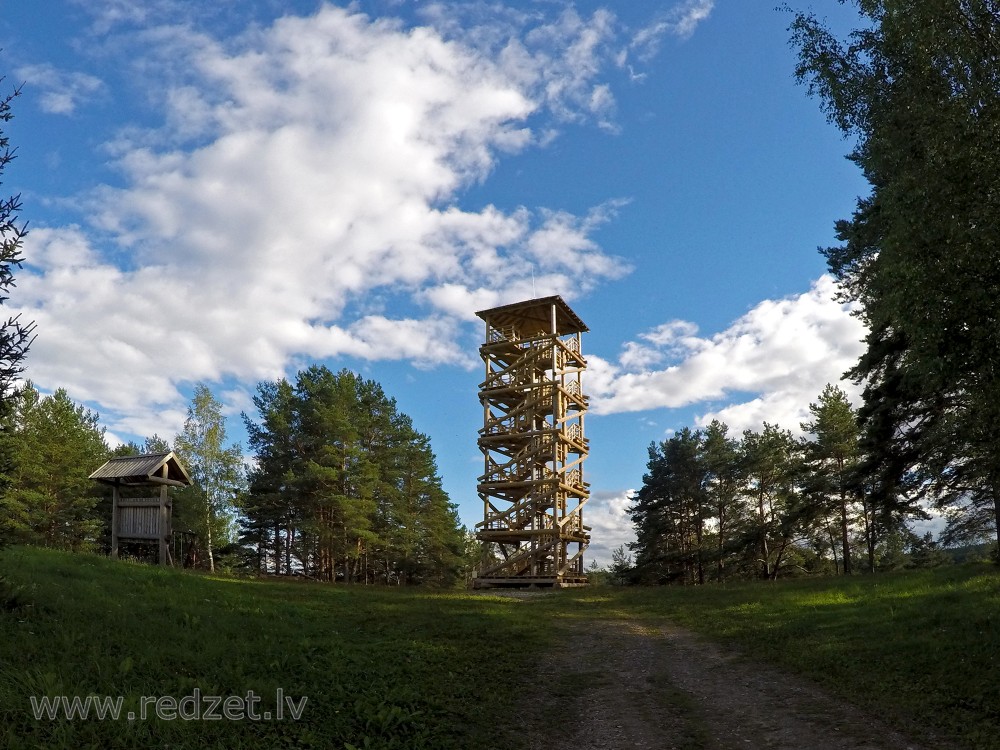 Vasargelišķi Observation tower