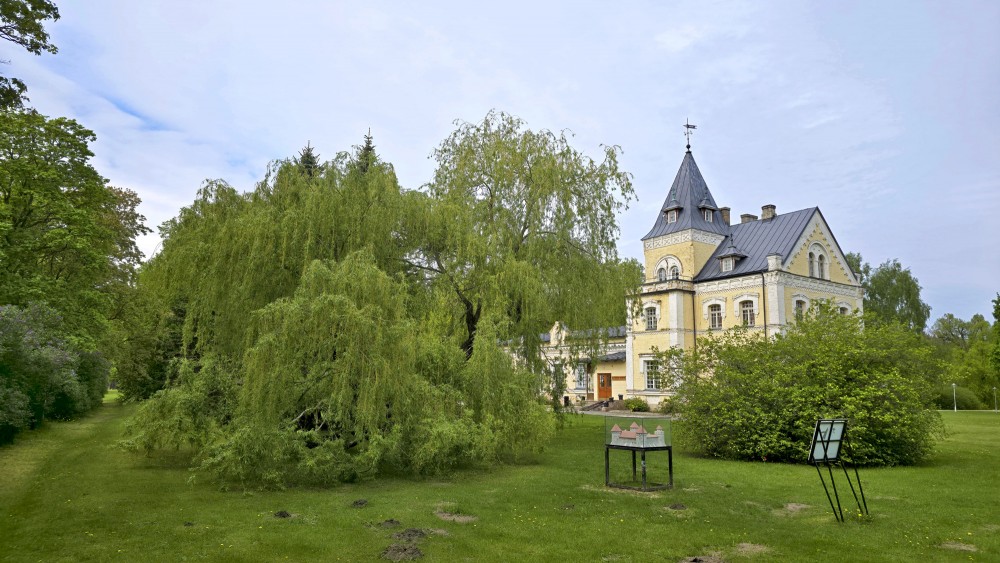 Doles muižas pils ēka aiz kupla nokarenā vītola parka ainavā