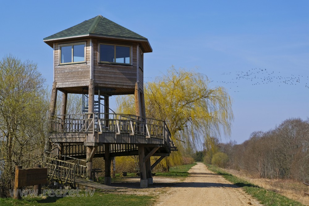 Tērvete Reservoir Bird Watching Tower