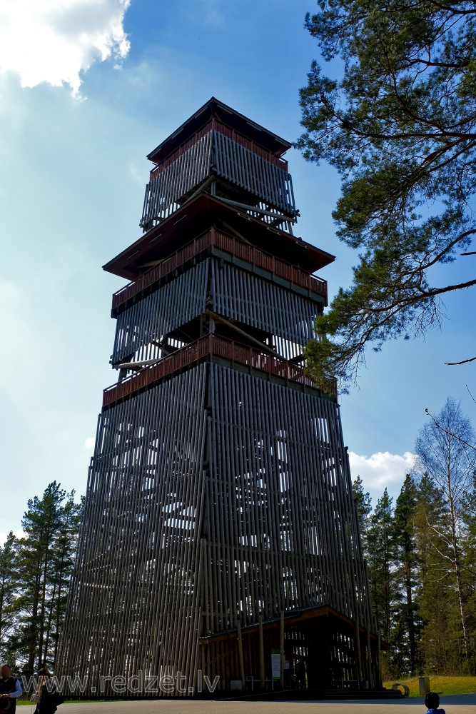 Tervete Wooden View Tower