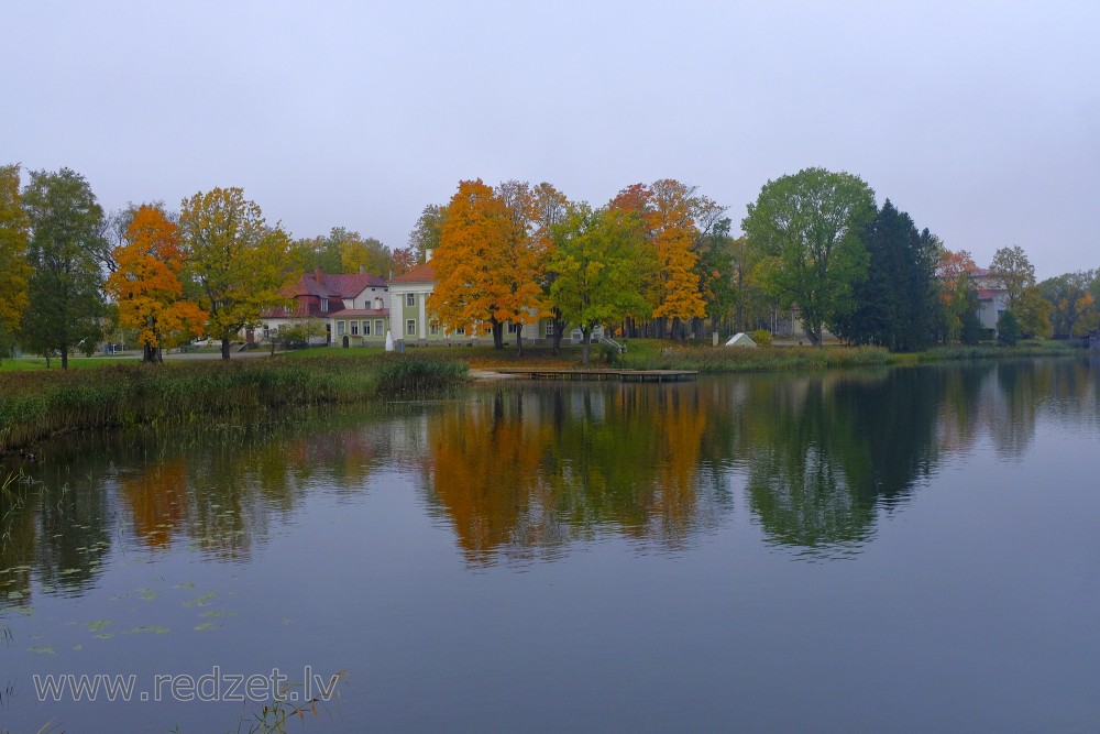 Reflection of Trees in Lake Alūksne