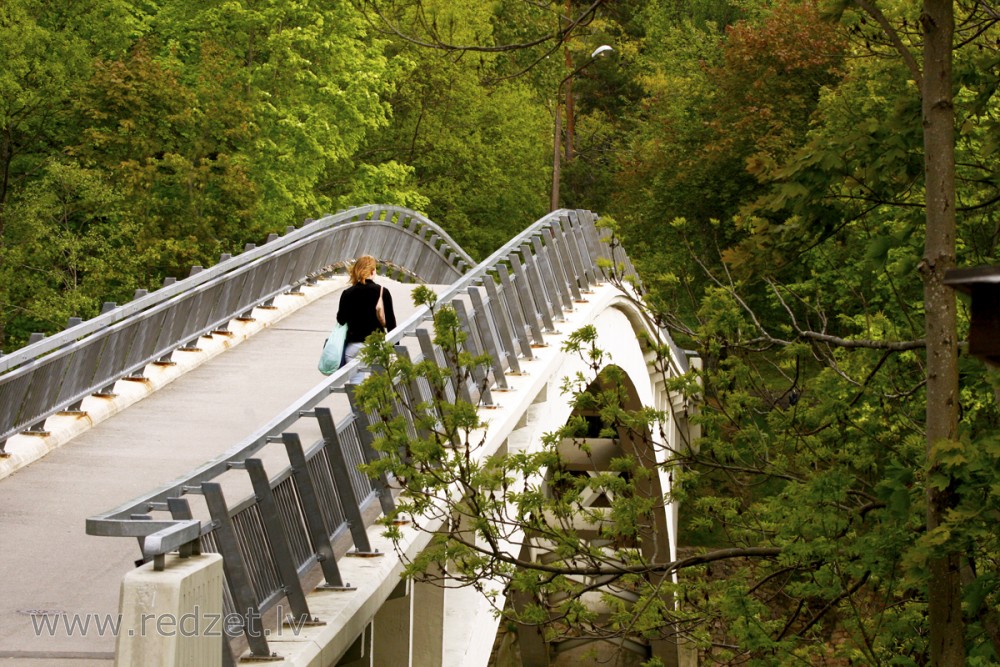 Arched Pedestrian Bridge over the Ogre River