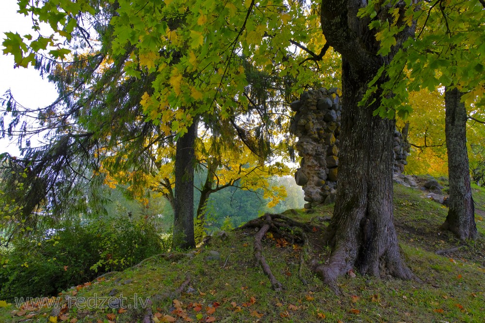 Alūksnes pilsdrupu mūra fragments