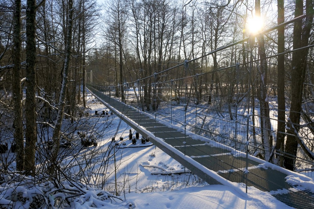 Hanging Bridge over the Irbe River