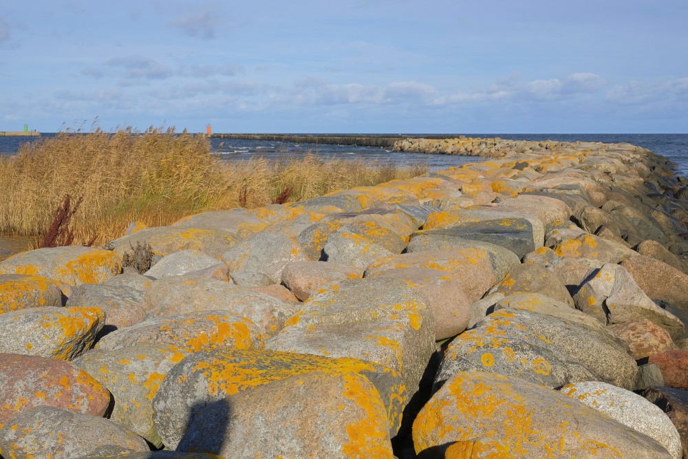 Roja Southern Breakwater