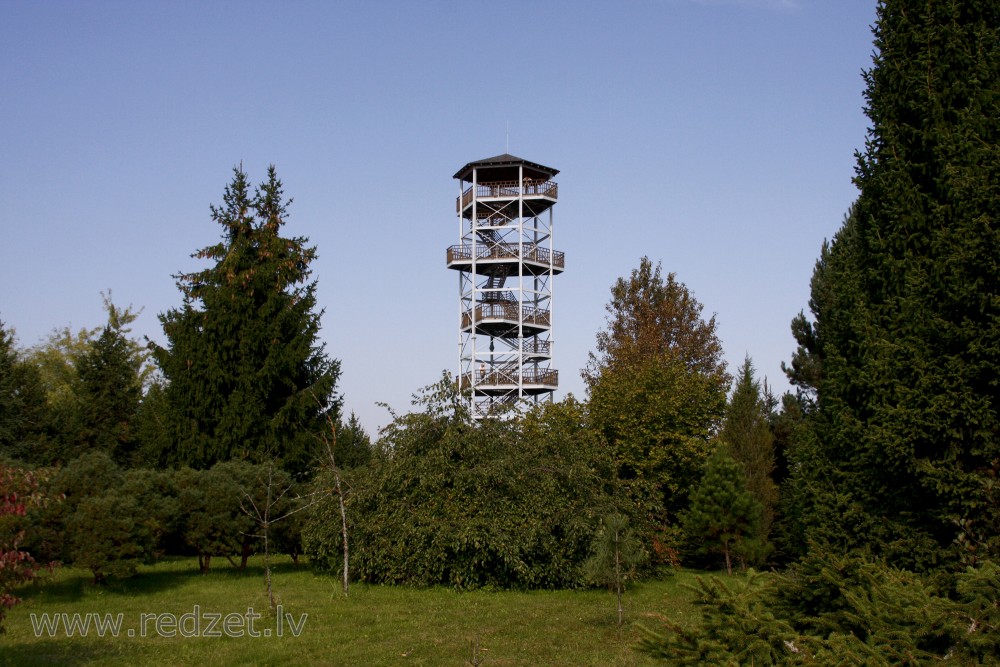Skatu tornis Kalsnavā