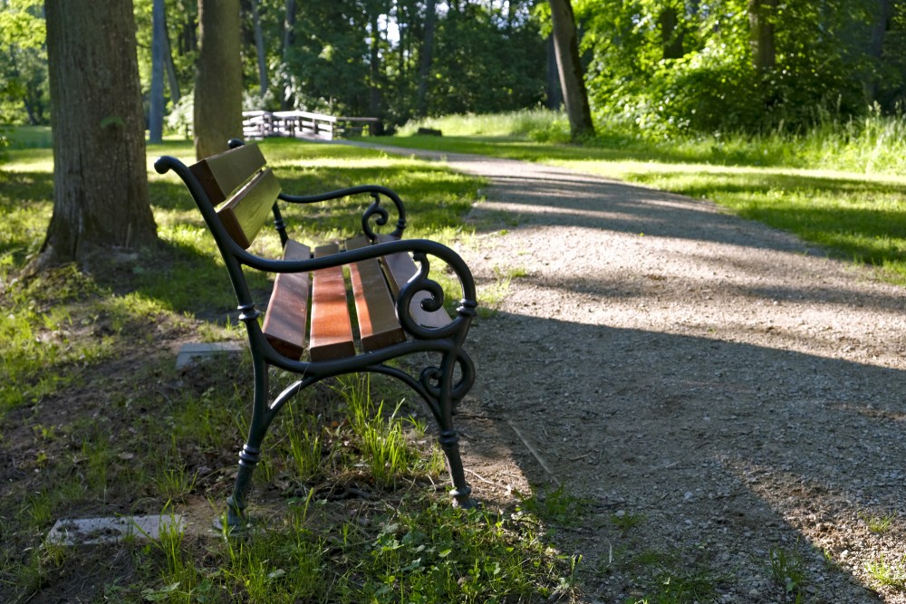 Bench In The Eleja Manor Park