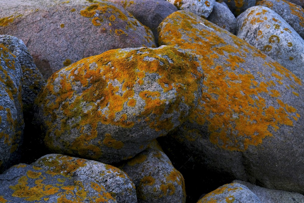 Rojas dienvidu mola akmeņi