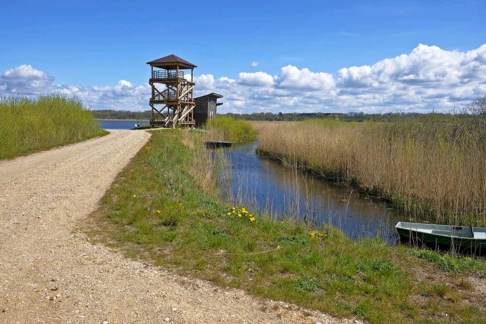 Durbe Bird Watching Tower
