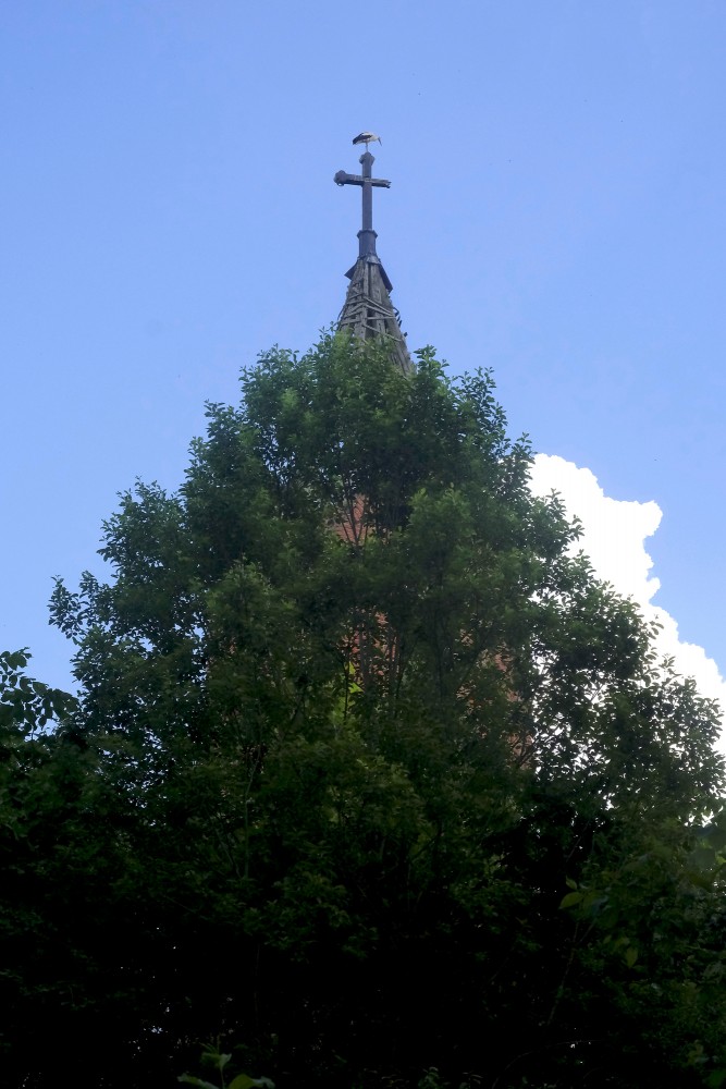 The Ruins of the Zalve Lutheran Church