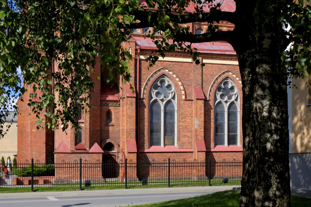 Jelgava Roman Catholic Cathedral and Birch
