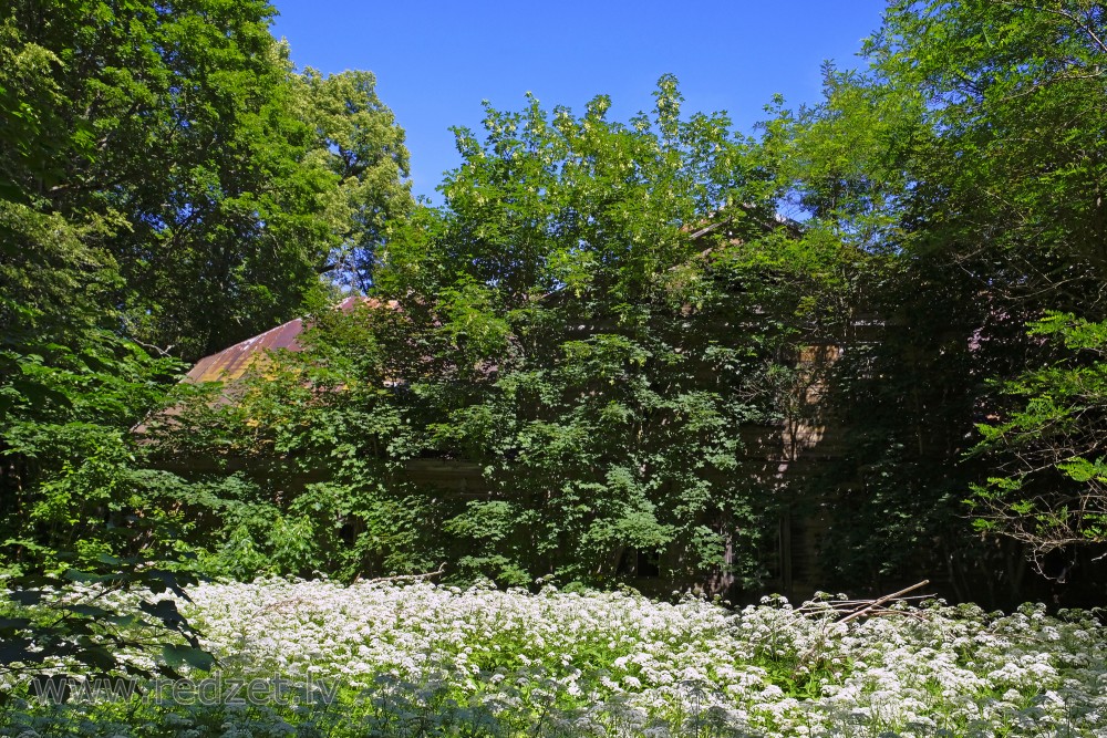 Abandoned Jamaiku Manor House