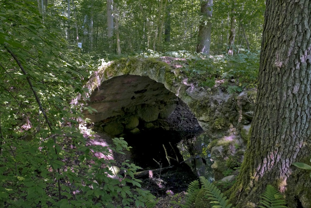 Arched Bridge in Zentene Manor Park