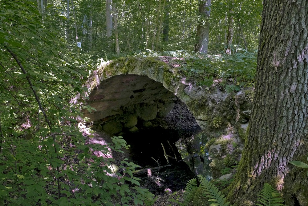 Arkveida tiltiņš Zentenes muižas parkā