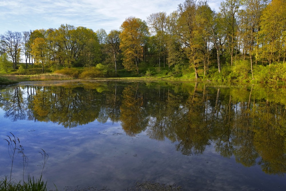 Parks pie Šķēdes muižas pils