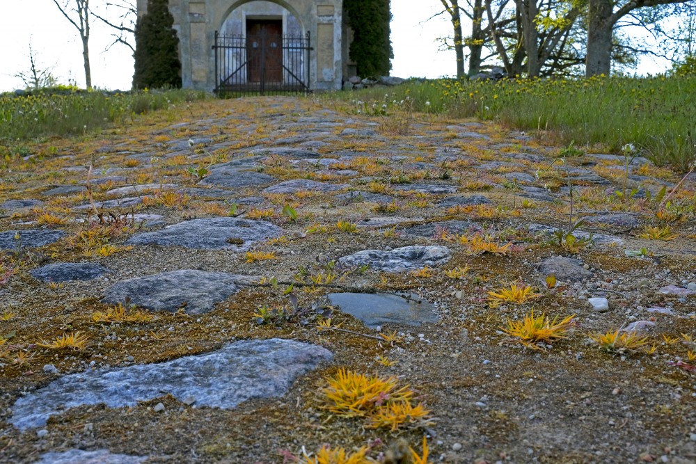 Paved Road To Lutriņi Lutheran Church