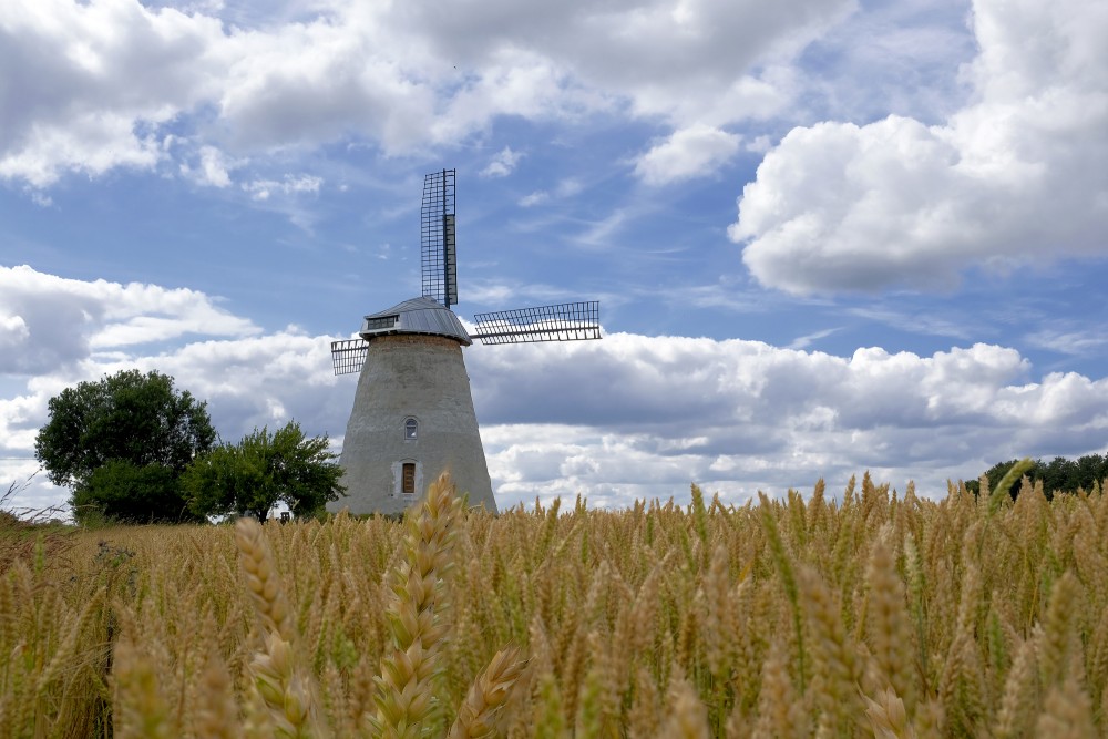 Anskrūži Windmill
