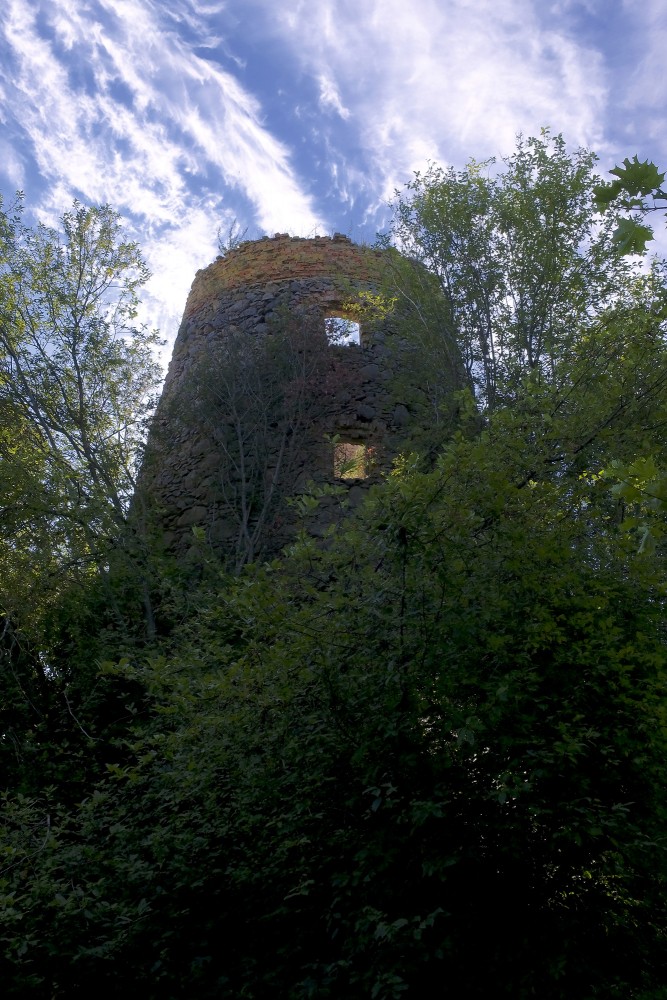 Bruzilas Windmill