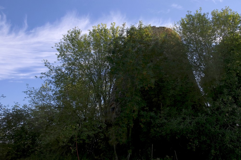 Bruzilas Windmill