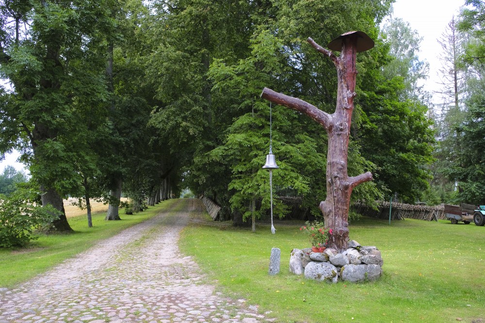 Linden Trees Alley Near Garīkas Manor