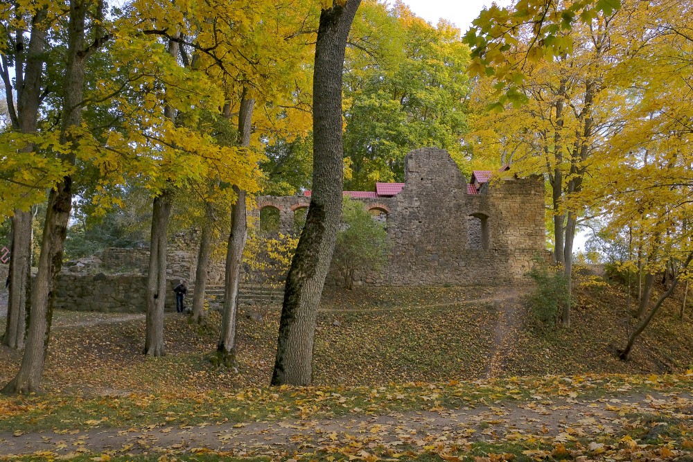 Lielvārdes bruņinieku pils drupas rudenī koku ieskautā parkā