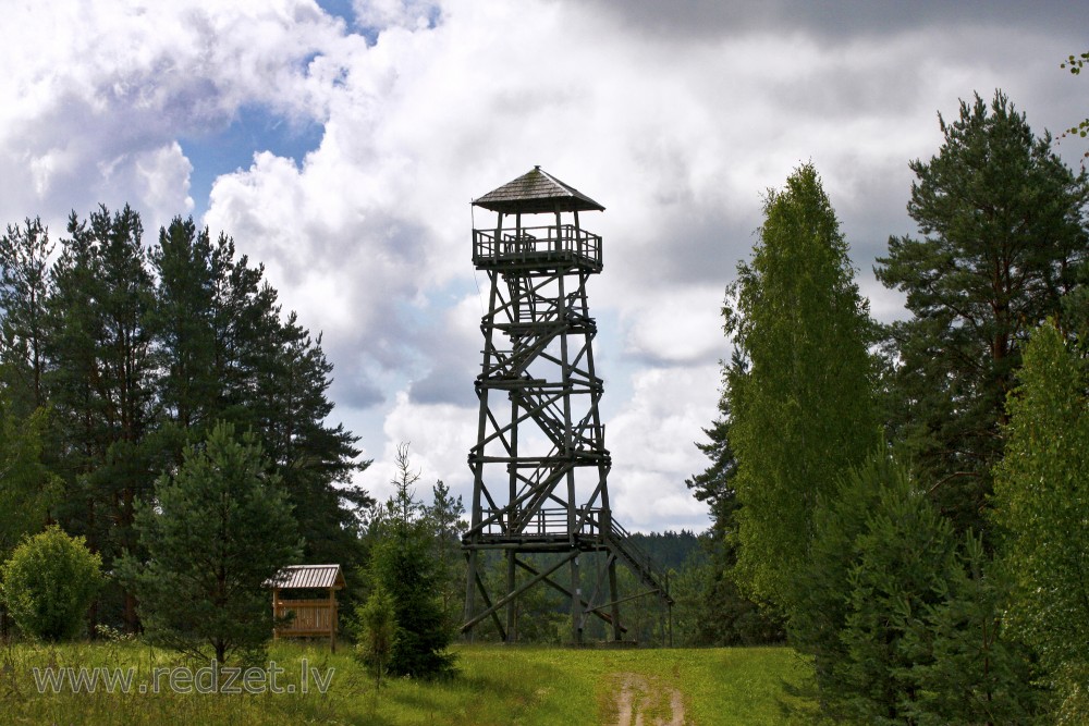 Vasargelišķu vecais skatu tornis