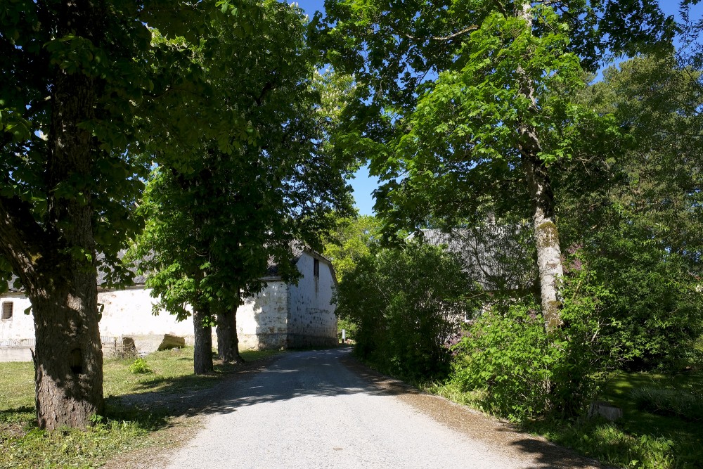 Alley near Striķi Manor